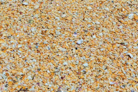 Shell beaches on the Black Sea coast. Opuksky Reserve is located on the southern coast of Kerch...