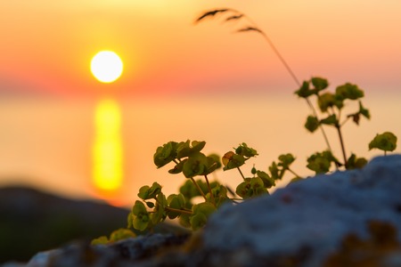 Sunset over the Sea of Azov on Generals beach. Karalar regional landscape park in the Crimea.の写真素材