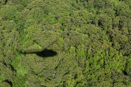 Shadow helicopter against the backdrop of forest. View from the helicopter.の写真素材