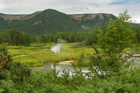 Beautiful summer landscape in the Uzon Caldera. Kronotsky Nature Reserve on Kamchatka Peninsula.の写真素材