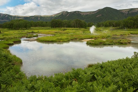 Beautiful summer landscape in the Uzon Caldera. Kronotsky Nature Reserve on Kamchatka Peninsula.の写真素材