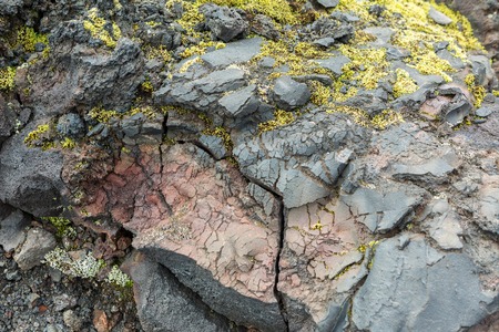 Frozen volcanic emissions covered with moss at North Breakthrough Great Tolbachik Fissure Eruption 1975の写真素材