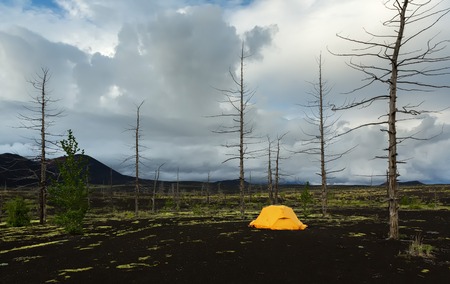 Tourist tent in Dead wood - a consequence of a catastrophic release of ash during the eruption of the volcano in 1975 Tolbachikの写真素材