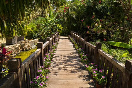 Beautiful wooden bridge in a tropical parkの写真素材