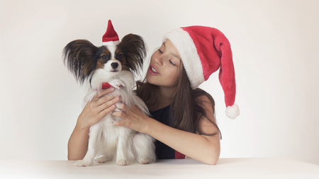 Beautiful teen girl and dog Continental Toy Spaniel Papillon in Santa Claus caps joyfully hugging on a white backgroundの写真素材