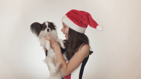 Beautiful teen girl in a Santa Claus cap and dog Continental Toy Spaniel Papillon joyfully kissing and fooling around on a white backgroundの写真素材