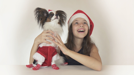 Beautiful teen girl and dog Continental Toy Spaniel Papillon in Santa Claus costumes joyfully looking around and laughing on a white backgroundの写真素材
