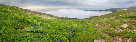 Beautiful summer panorama of the top of the Altai Krai mountains.