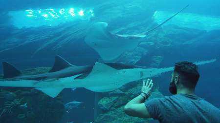 Dubai, UAE - April 09, 2018: People admire the marine life in the glass tunnel of the Aquarium in Dubai Mallのeditorial素材