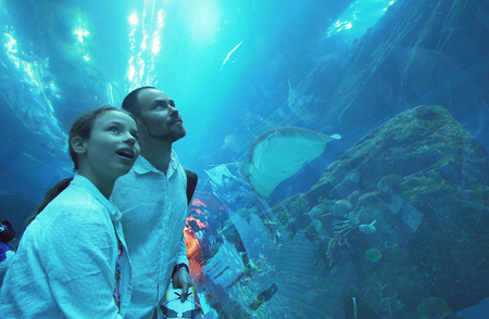 Dubai, UAE - April 09, 2018: Teenage girl with Dad admire the marine life in the glass tunnel of the...