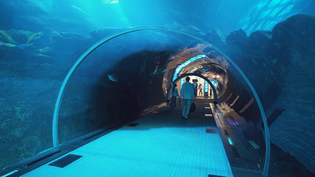 Dubai, UAE - April 09, 2018: People admire the marine life in the glass tunnel of the Aquarium in Dubai Mallのeditorial素材