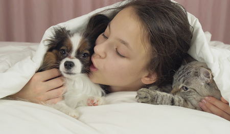 Happy teen girl communicates with dog Papillon and Thai cat in the bedの写真素材