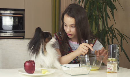 Teen girl and dog Papillon prepare cookies, knead the doughの写真素材