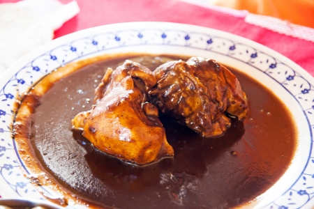 A typical mexican dish, chicken in brown moleの写真素材