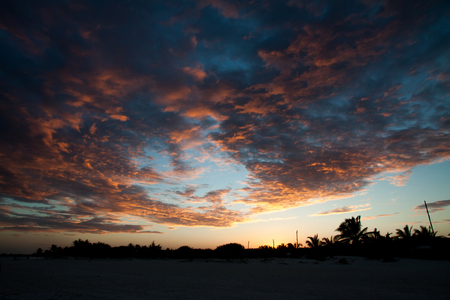 the scene of sunset