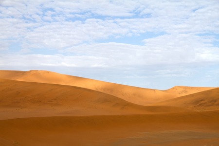 Some red sand dunes in the Sossusvlei Park, Namibiaの写真素材