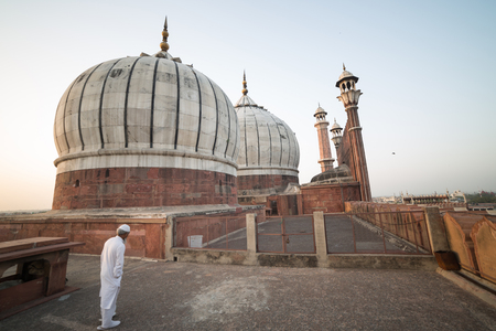 Domes of Jama Masjid mosquee seen from the roof of the mosqueeの写真素材
