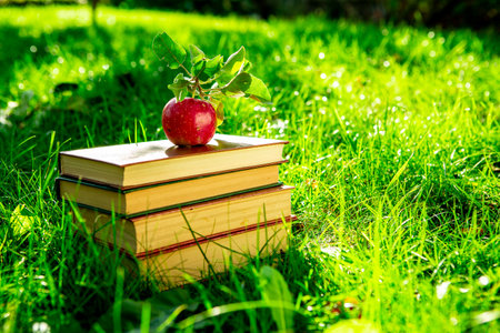 Fresh apple and open bookの写真素材