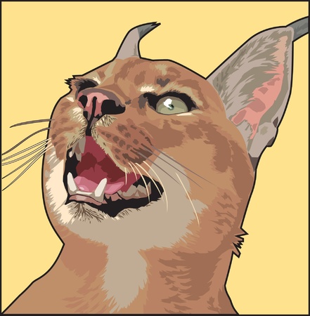 caracalのイラスト素材