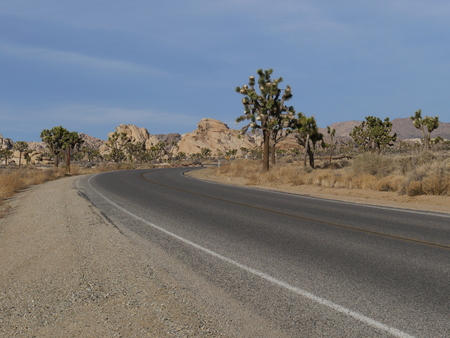 Road Joshua tree lonelinessの写真素材
