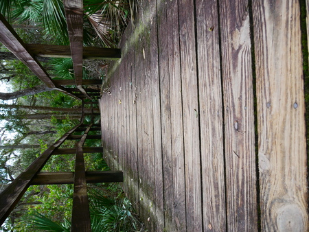 Wooden bridge jungelの写真素材