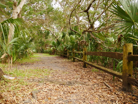 Autumn National Park wooden fenceの写真素材
