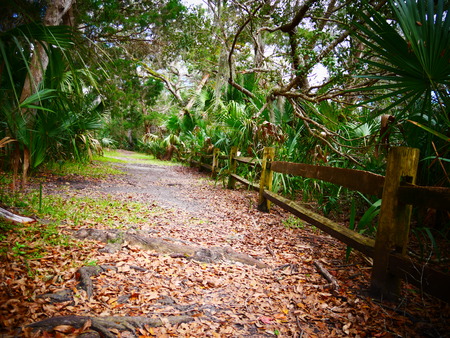 Jungel Way National Parkの写真素材