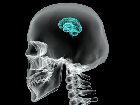 Concept of an Active Human Brain on a Dark Background 