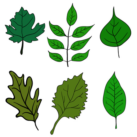 Set of green leaves design elements. This image is a vector illustration.のイラスト素材