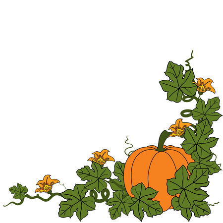 Pumpkin. Flat Design Style. Vector illustration 1のイラスト素材