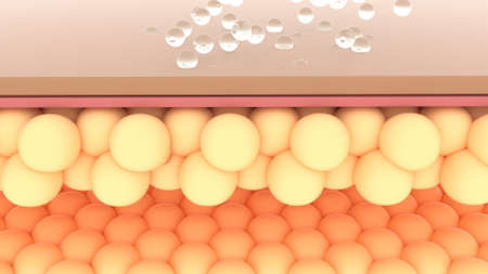 Serum through skin layer in 3d style Skin repair Concept Human health 3d renderingの写真素材
