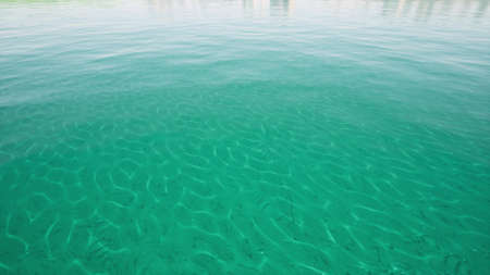 Blue sea surface caustic ocean top view 3d rendering