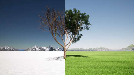 Tree in changing seasons winter spring Climate change comparison 3d render