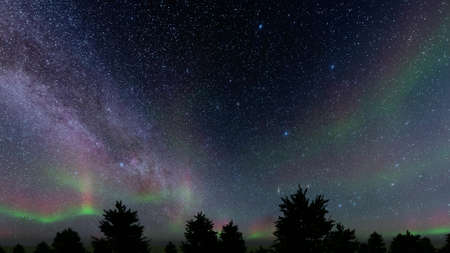 Stray night Northern lights of spruce Winter landscape 3d render
