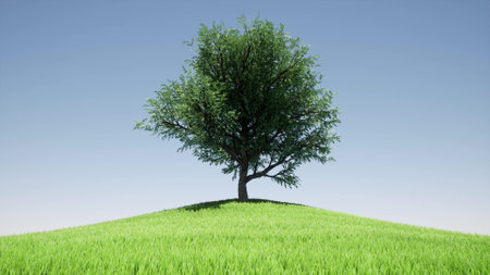 One tree hill Blue sky green landscape summer field nature background 3d render