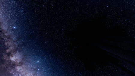 Tropical Palm leaves starry sky back Happy relax night nature landscape 3d render