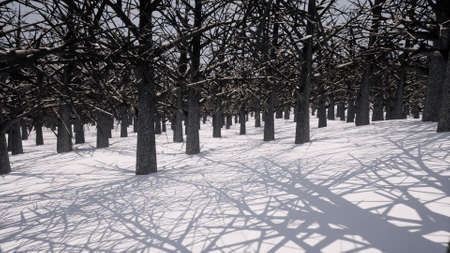 White winter snow forest Dramatic scene nature frozen landscape shadow from trees 3d renderの写真素材