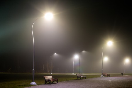 benches in night misty park with tall lights