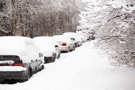 Car row on road side covered by thick snow layer with selective focus and snowy bushの写真素材