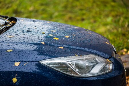 blue car at rainy autumn weather with orange birch leaves - selective focus win blur closeup...