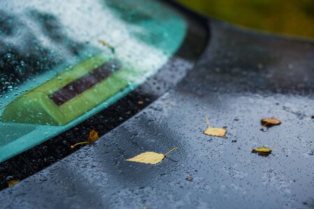 dark blue car at autumn rainy day with orange birch leaves - selective focus with blur closeup compositionの写真素材