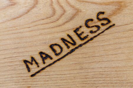 the word madness handwritten with woodburner on flat plywood surface in flat lay directly above view with diagonal composition.の写真素材