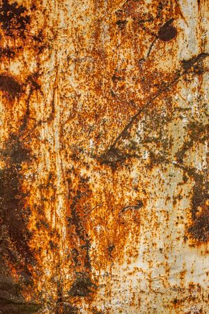 rusted flat solid sheet metal background and texture with leftovers of white paint, vertical crop