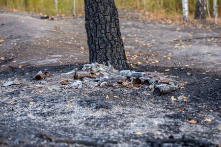 burned pile of trash under tree - close-up with selective focusの写真素材