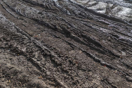 close-up full frame view of wet muddy dirt road at evening sun light