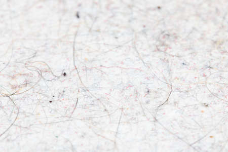 cat hair, fur and dust pollution on white flat surface - close-up with selective focus