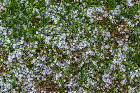 White ice hail on the green grass after summer stormの写真素材