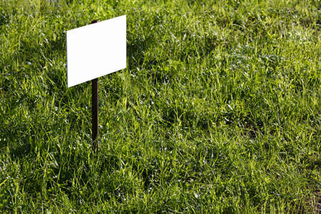 blank white sign mockup on green lawn background - close-up with selective focusの写真素材