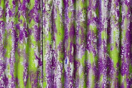colorful motley green and purple peeled off paint layers on corrugated zinc coated steel sheet...