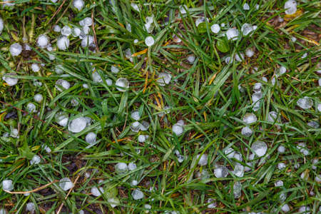 White ice hail on the green grass after summer stormの写真素材